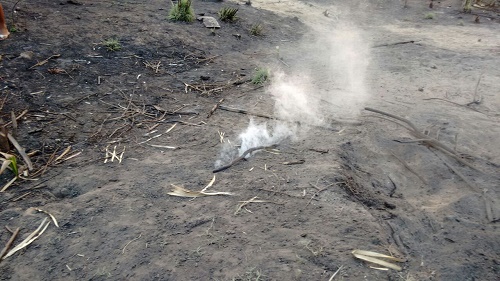 Fumaça saindo do suposto buraco com fogo em Lima Campos (Foto: Jaildo)